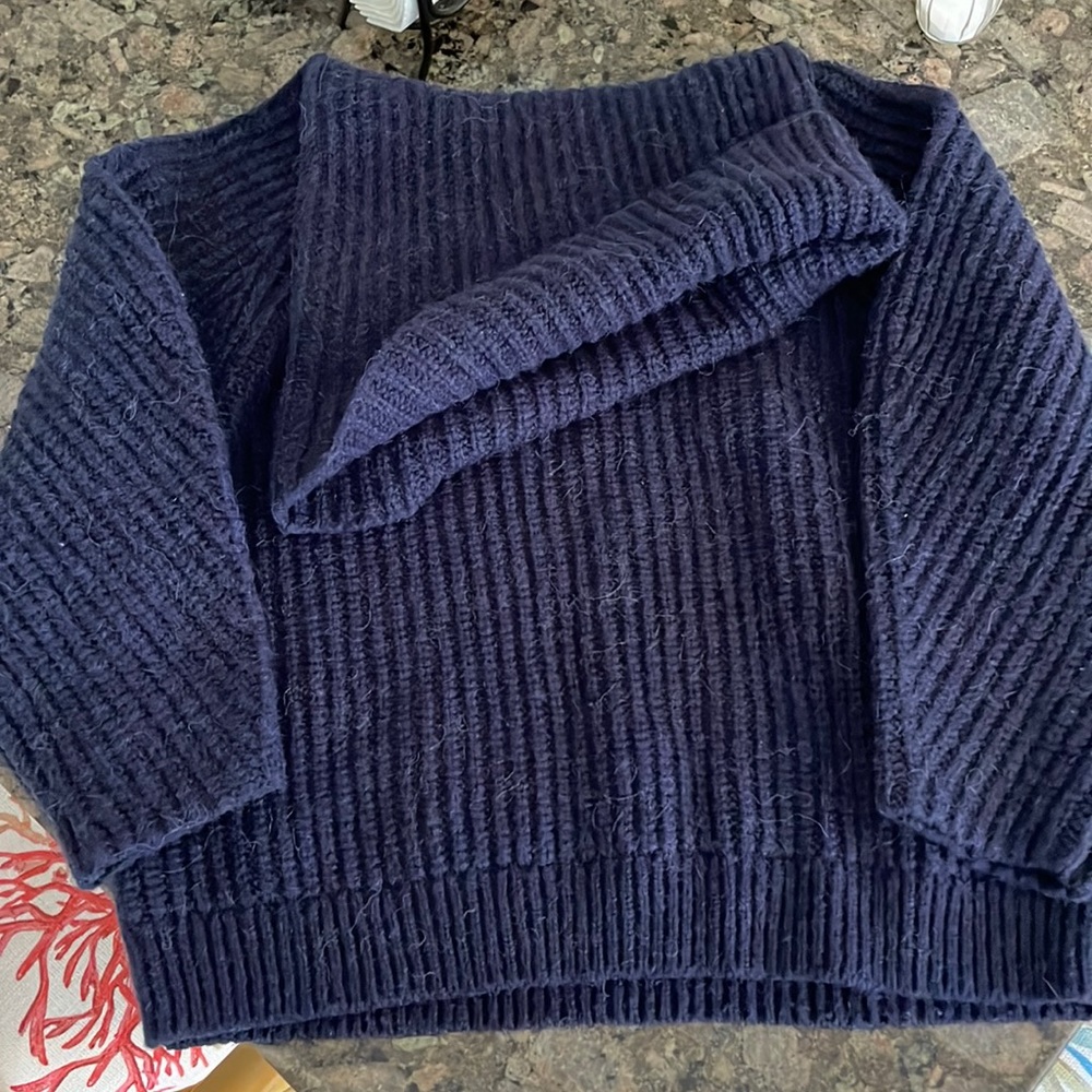 Gap Navy Blue Turtle Neck Sweater